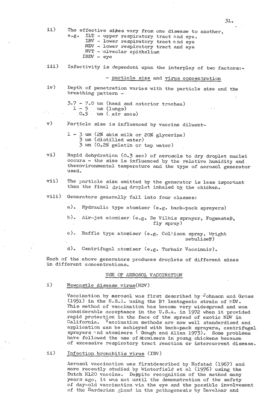 1979 page 31